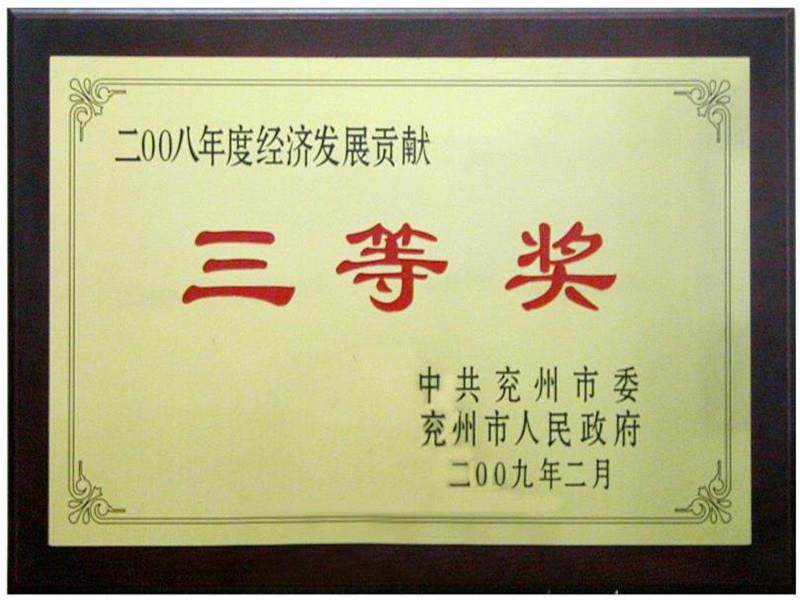 二00八年度經濟發(fā)展貢獻三等獎